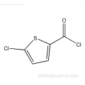 5- cloreto de clorotiofeno-2-carbonilo